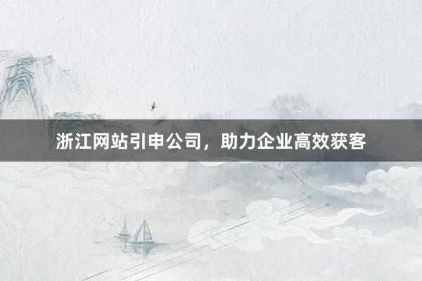 浙江网站引申公司，助力企业高效获客