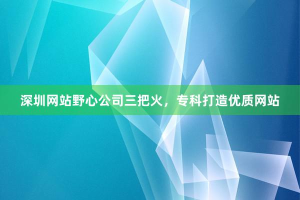 深圳网站野心公司三把火，专科打造优质网站