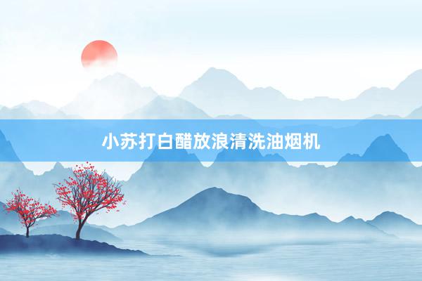 小苏打白醋放浪清洗油烟机