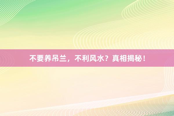 不要养吊兰，不利风水？真相揭秘！