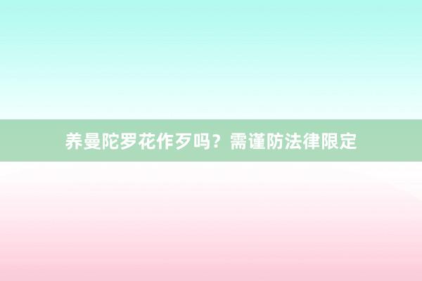 养曼陀罗花作歹吗？需谨防法律限定