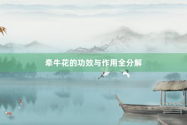 牵牛花的功效与作用全分解