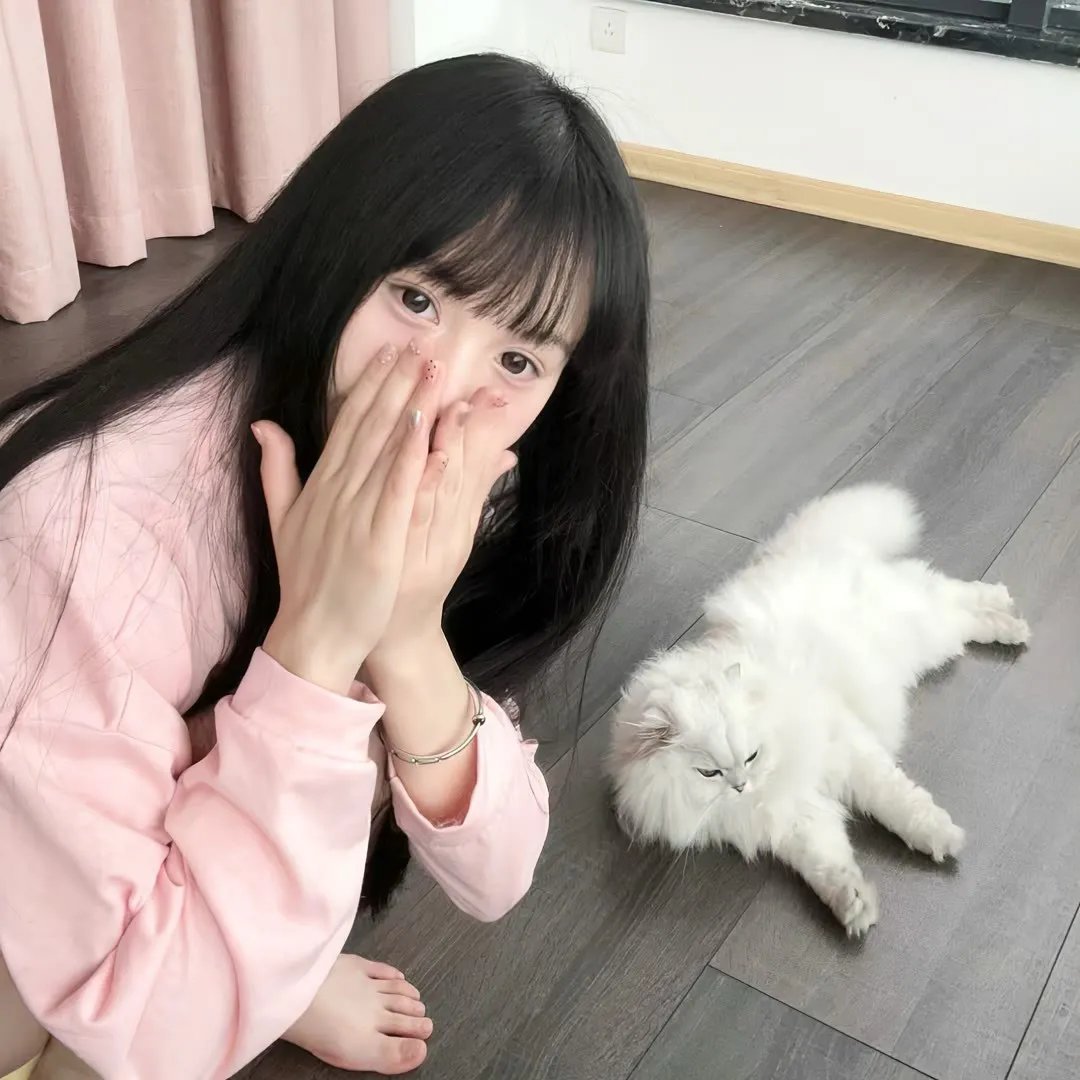 四平警事之钻石大劫案